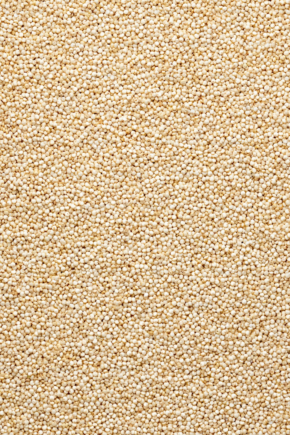 How to Rinse Quinoa and Why It Matters